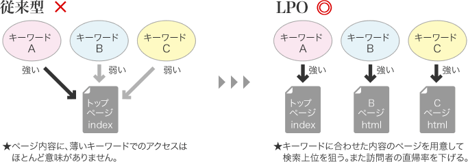 主な内容