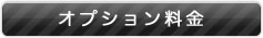 オプション料金